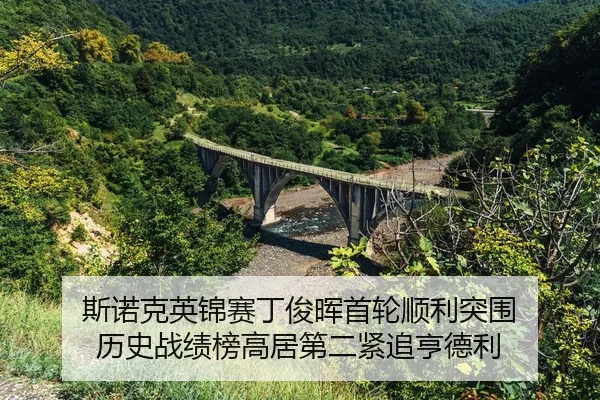 si-nuo-ke-ying-jin-sai-ding-jun-hui-shou-lun-shun-li-tu-wei-li-shi-zhan-ji-bang-gao-ju-di-er-jin-zhui-heng-de-li-2-446.jpg