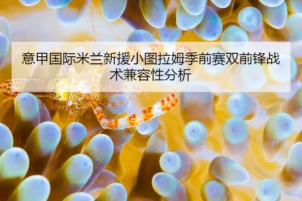 意甲国际米兰新援小图拉姆季前赛双前锋战术兼容性分析